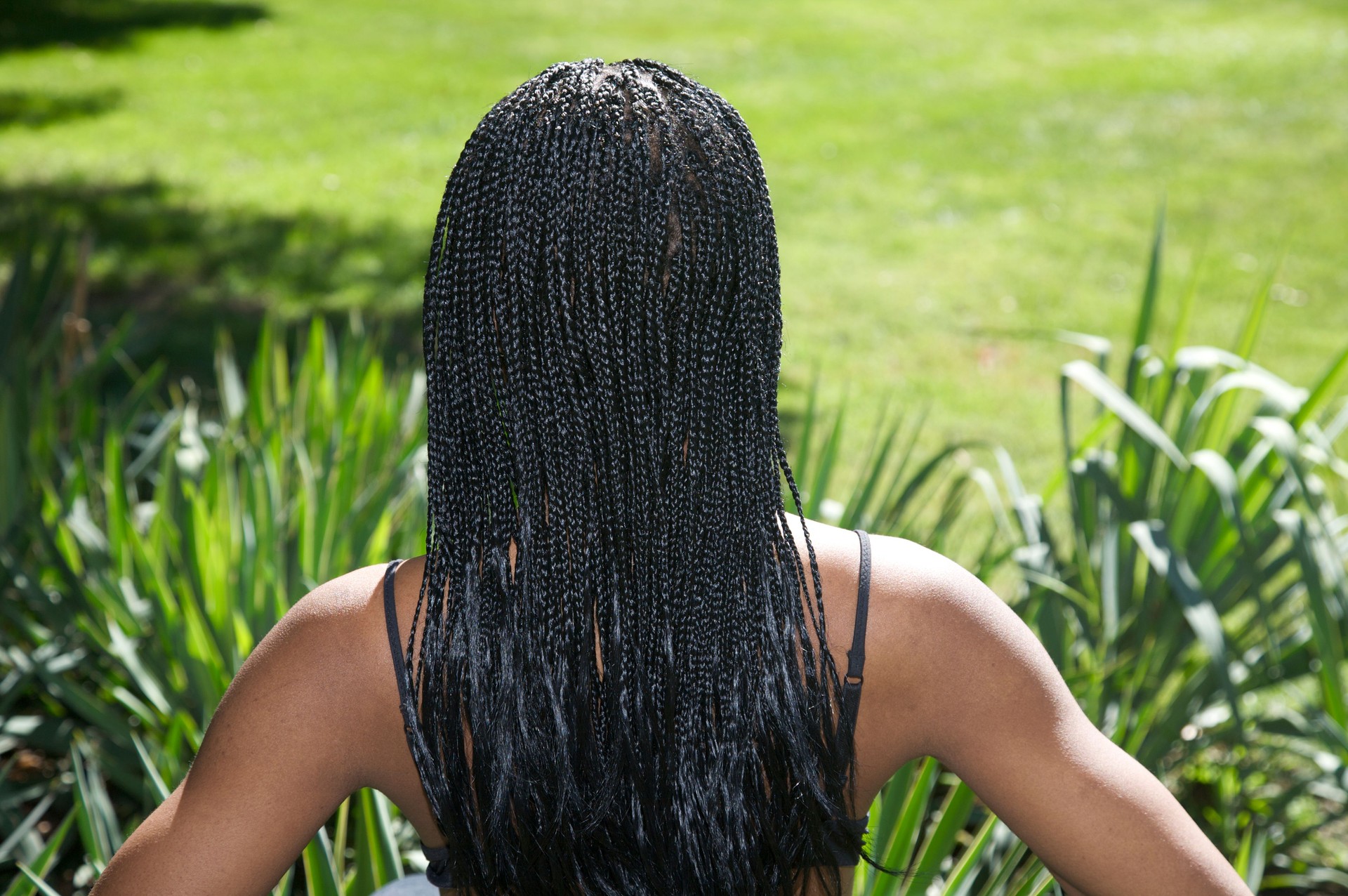 african american woman with cornrow braids